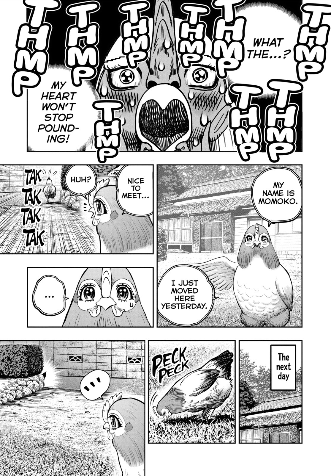 Read Rooster Fighter chapter 36.1 image 4 on Lezhin