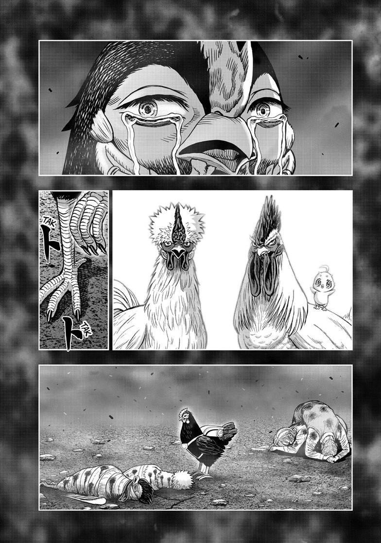 Read Rooster Fighter chapter 51.1 image 22 on Lezhin