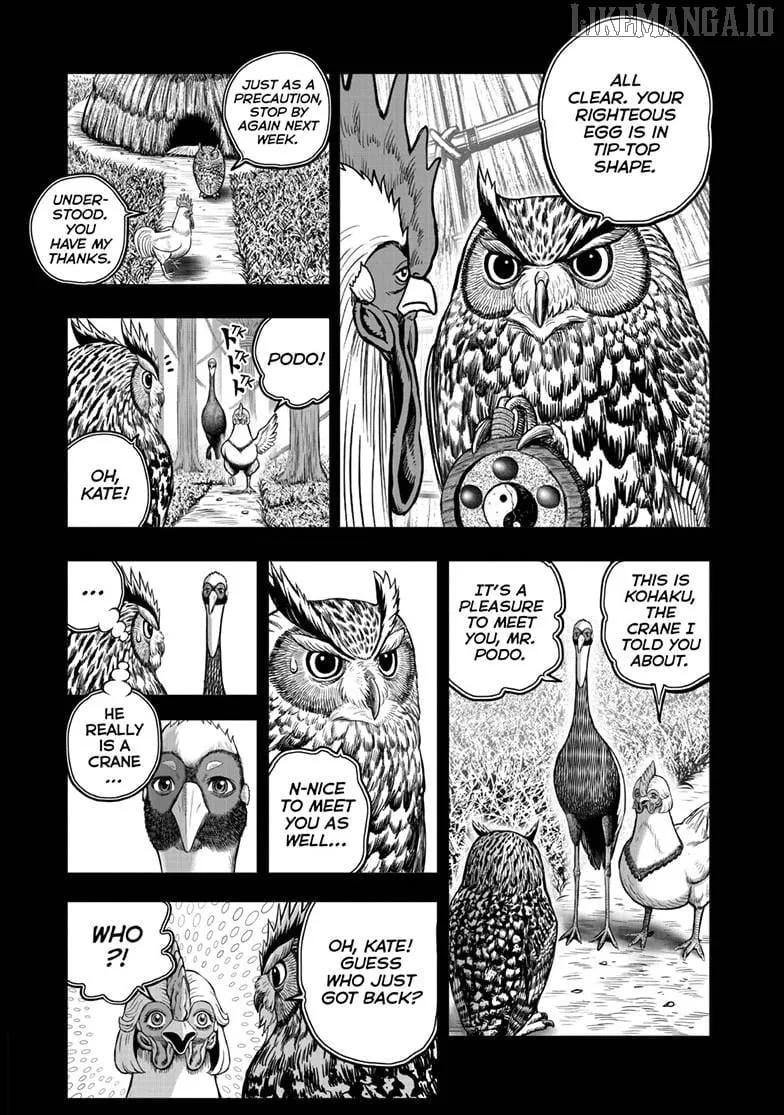 Read Rooster Fighter chapter 52 image 4 on Lezhin