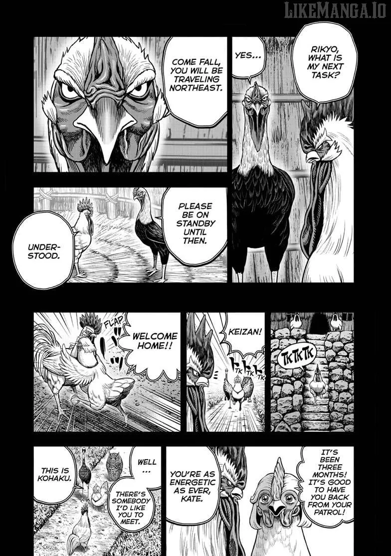 Read Rooster Fighter chapter 52 image 6 on Lezhin