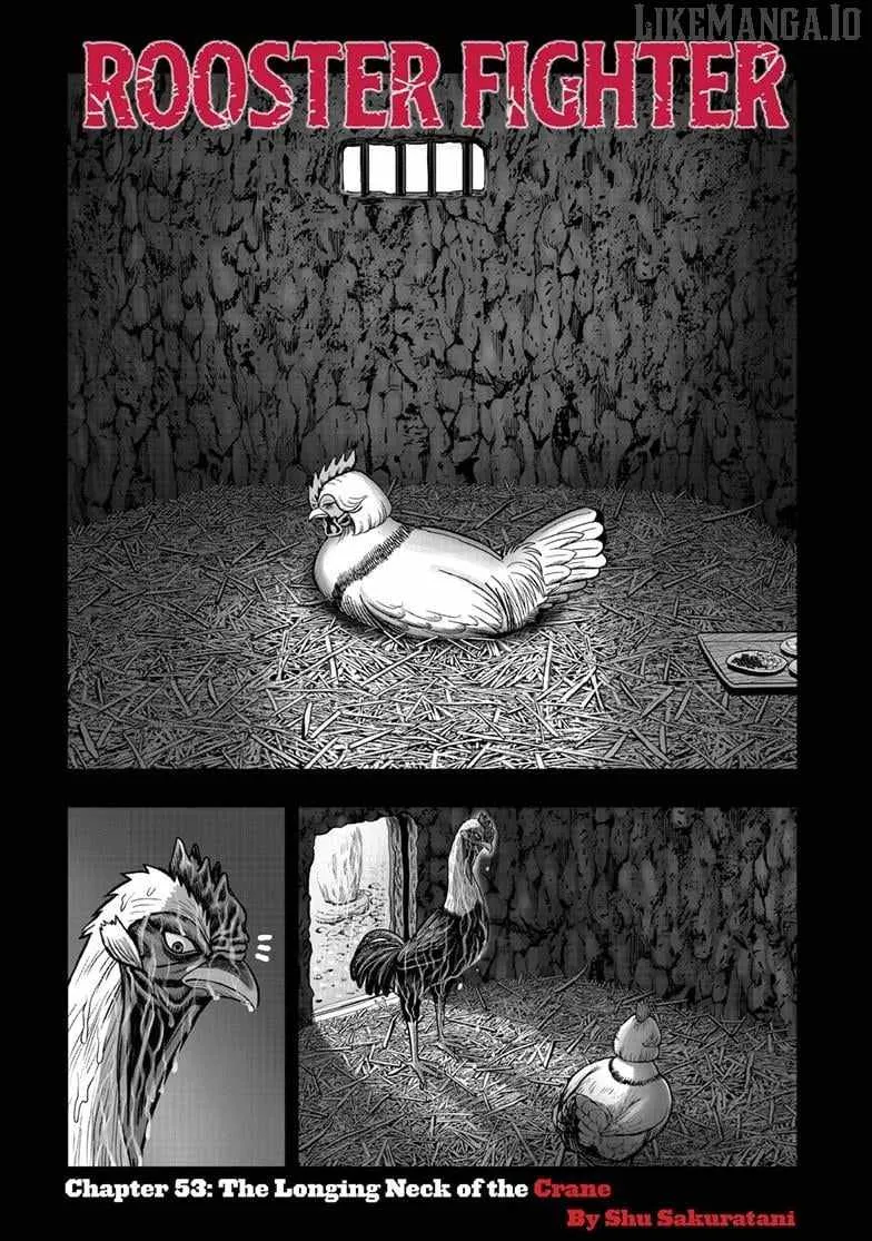 Read Rooster Fighter chapter 53 image 2 on Lezhin