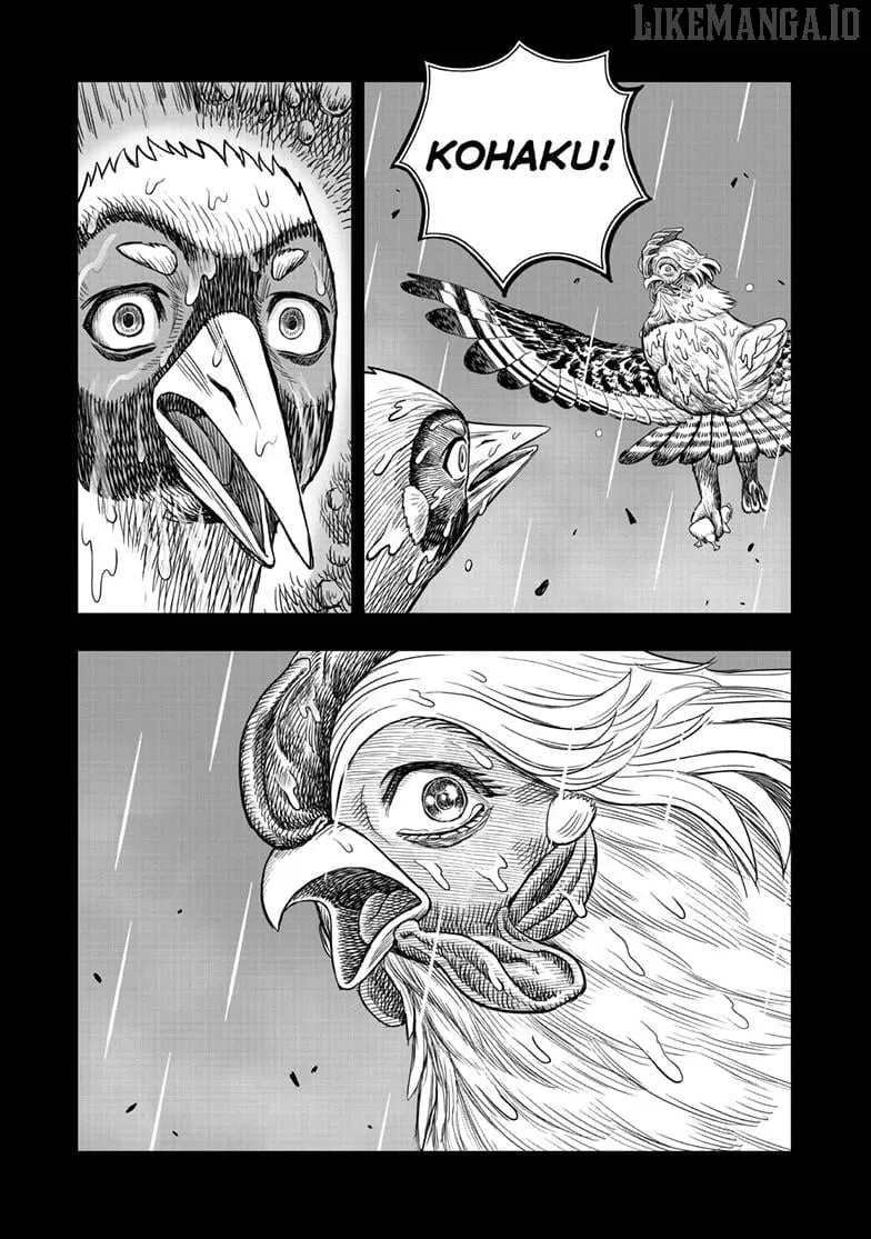 Read Rooster Fighter chapter 53 image 53 on Lezhin