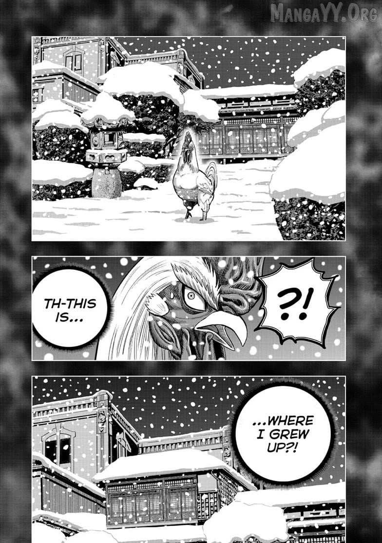 Read Rooster Fighter chapter 56 image 14 on Lezhin