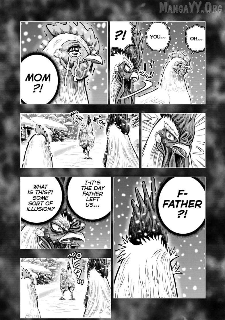 Read Rooster Fighter chapter 56 image 15 on Lezhin