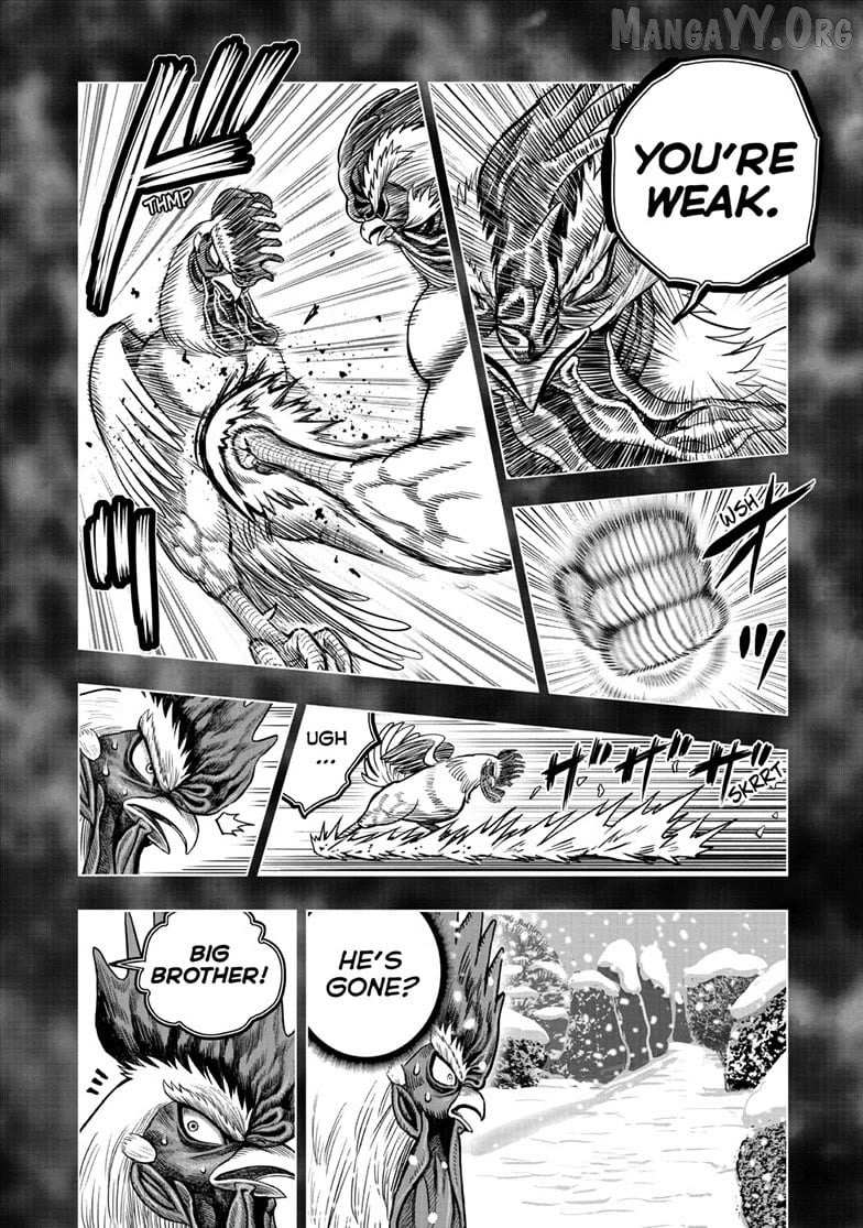 Read Rooster Fighter chapter 56 image 19 on Lezhin