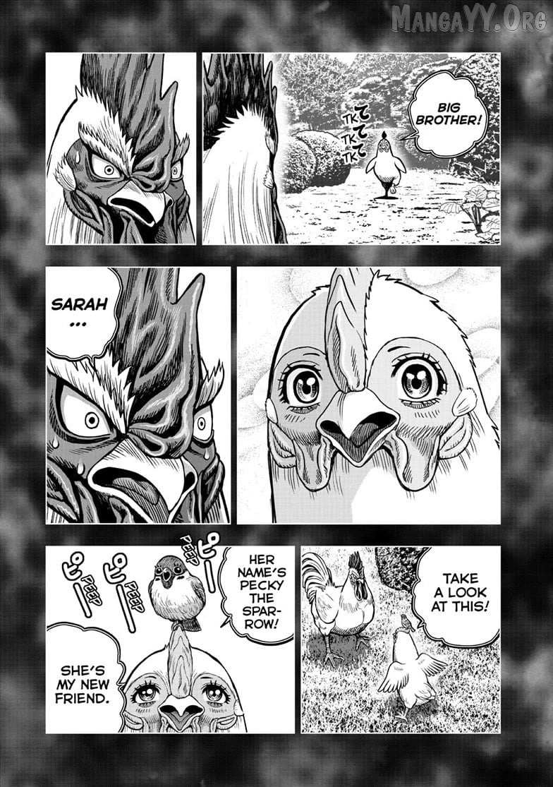 Read Rooster Fighter chapter 56 image 20 on Lezhin