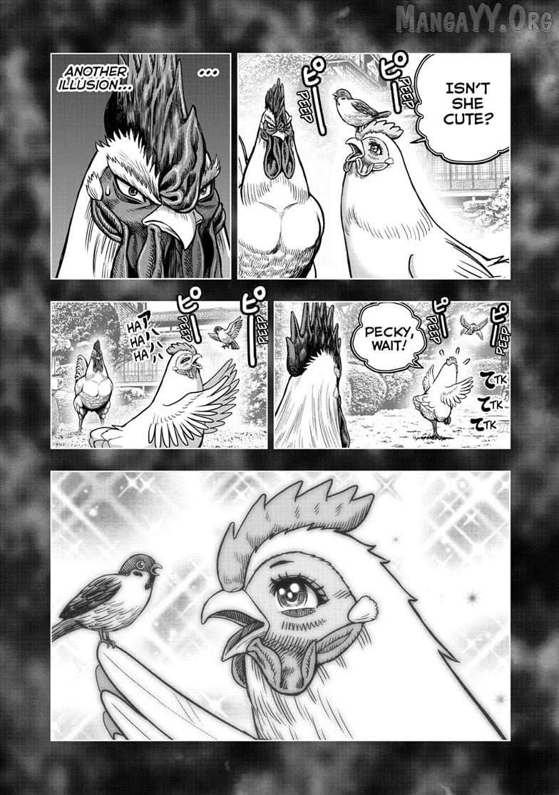 Read Rooster Fighter chapter 56 image 21 on Lezhin