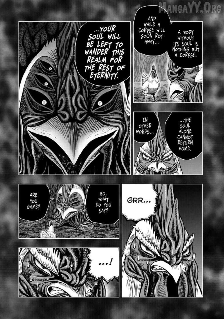 Read Rooster Fighter chapter 56 image 4 on Lezhin