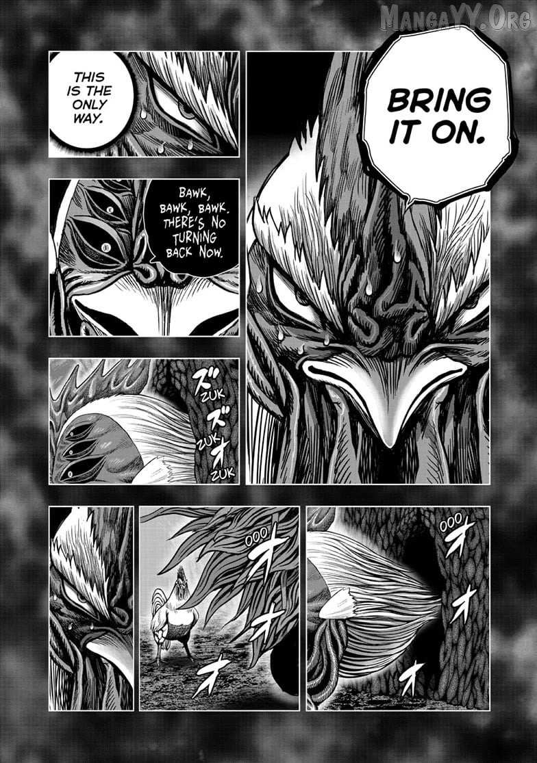 Read Rooster Fighter chapter 56 image 5 on Lezhin