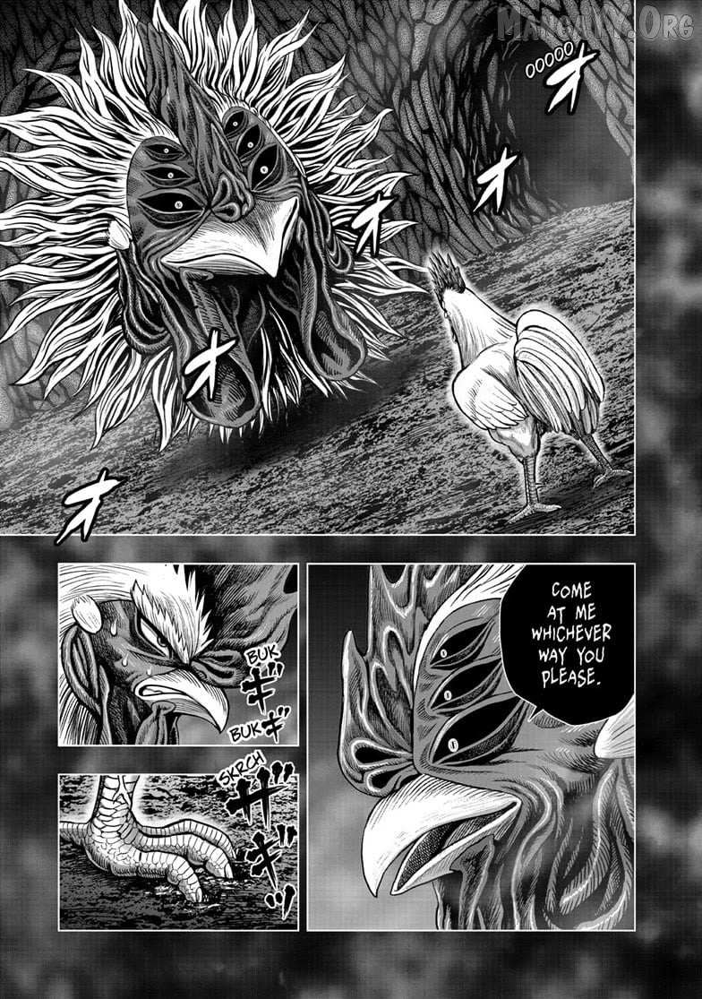 Read Rooster Fighter chapter 56 image 6 on Lezhin