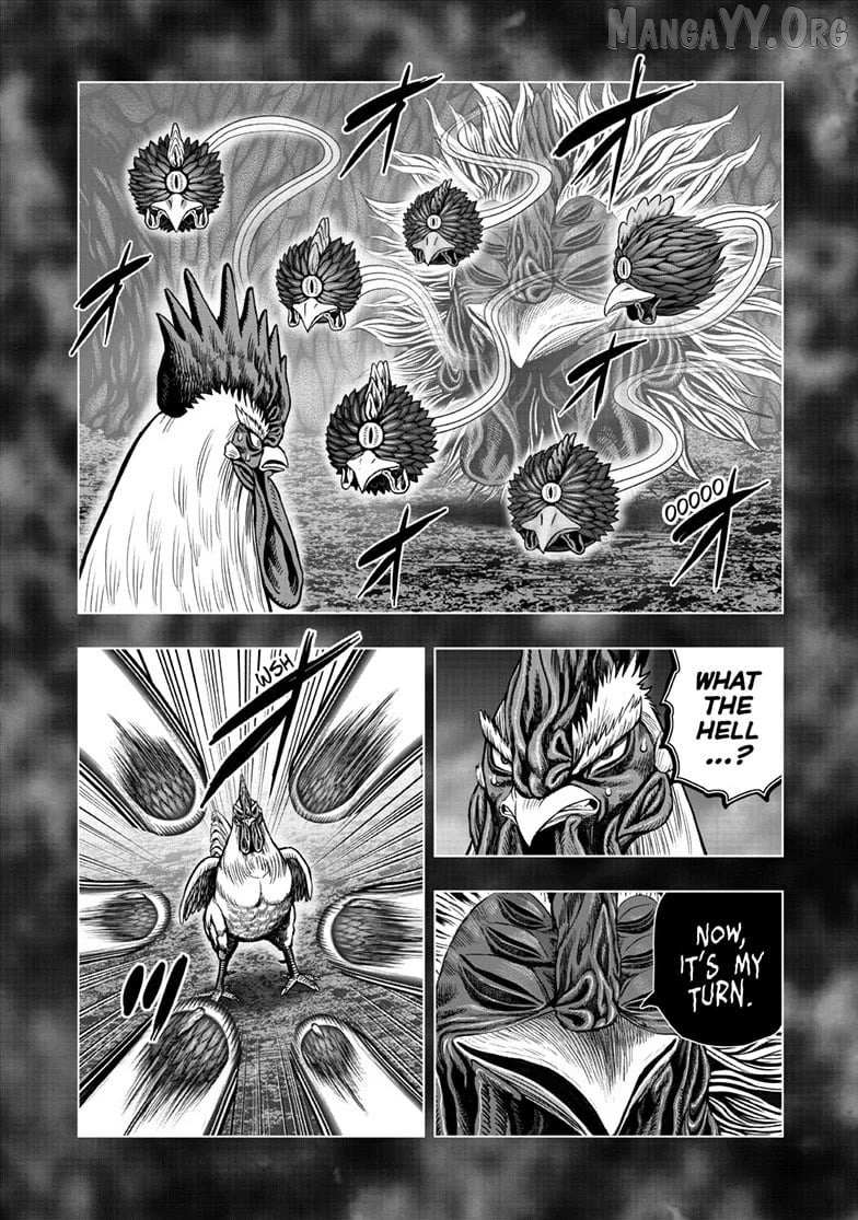 Read Rooster Fighter chapter 56 image 9 on Lezhin