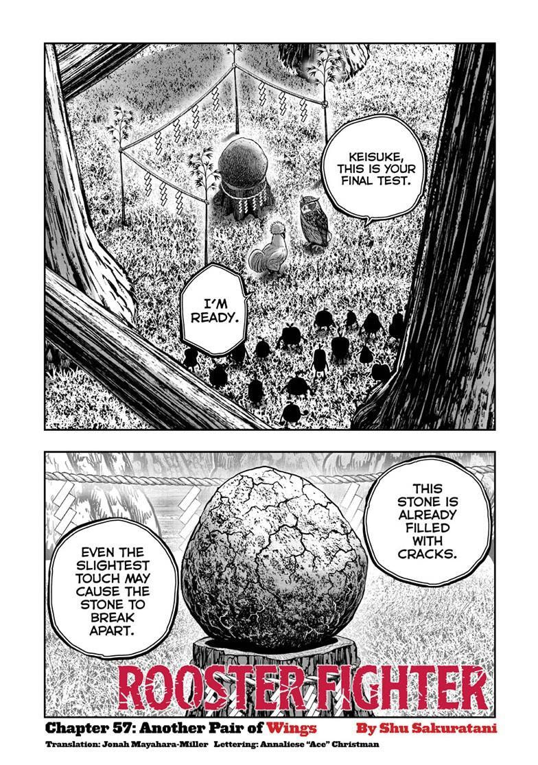 Read Rooster Fighter chapter 57 image 1 on Lezhin