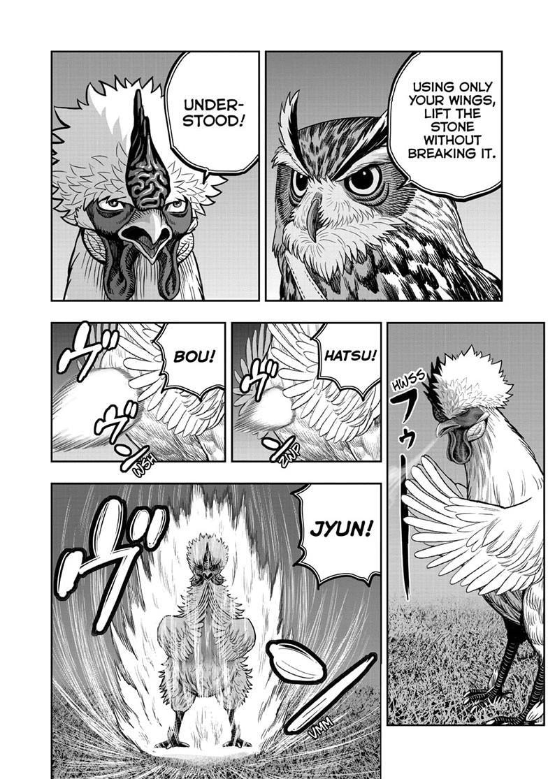Read Rooster Fighter chapter 57 image 2 on Lezhin