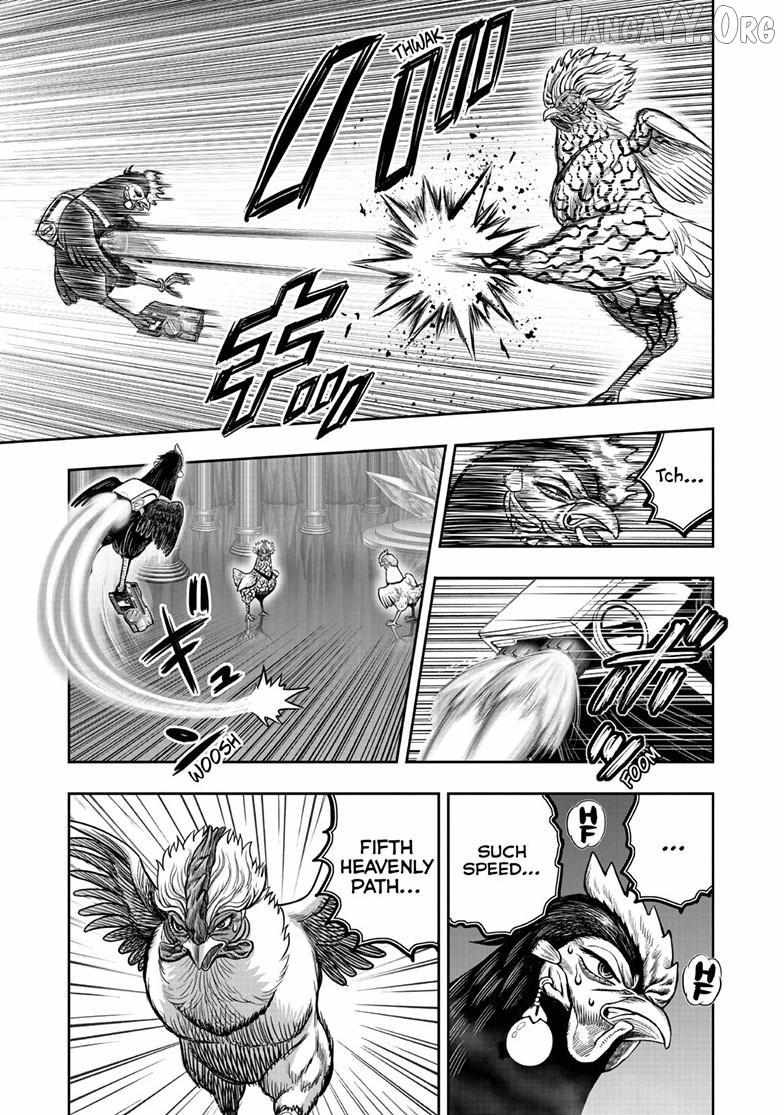 Read Rooster Fighter chapter 58 image 2 on Lezhin