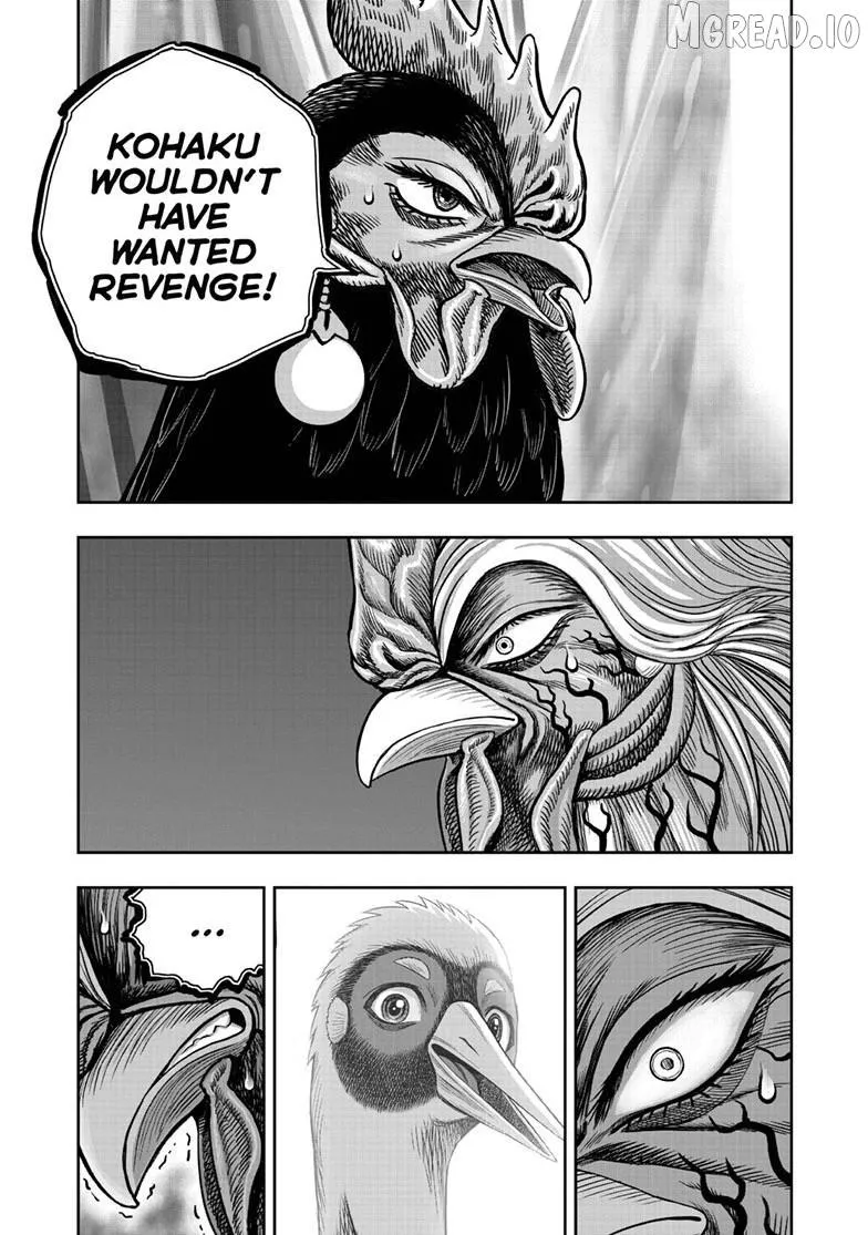 Read Rooster Fighter chapter 59 image 11 on Lezhin