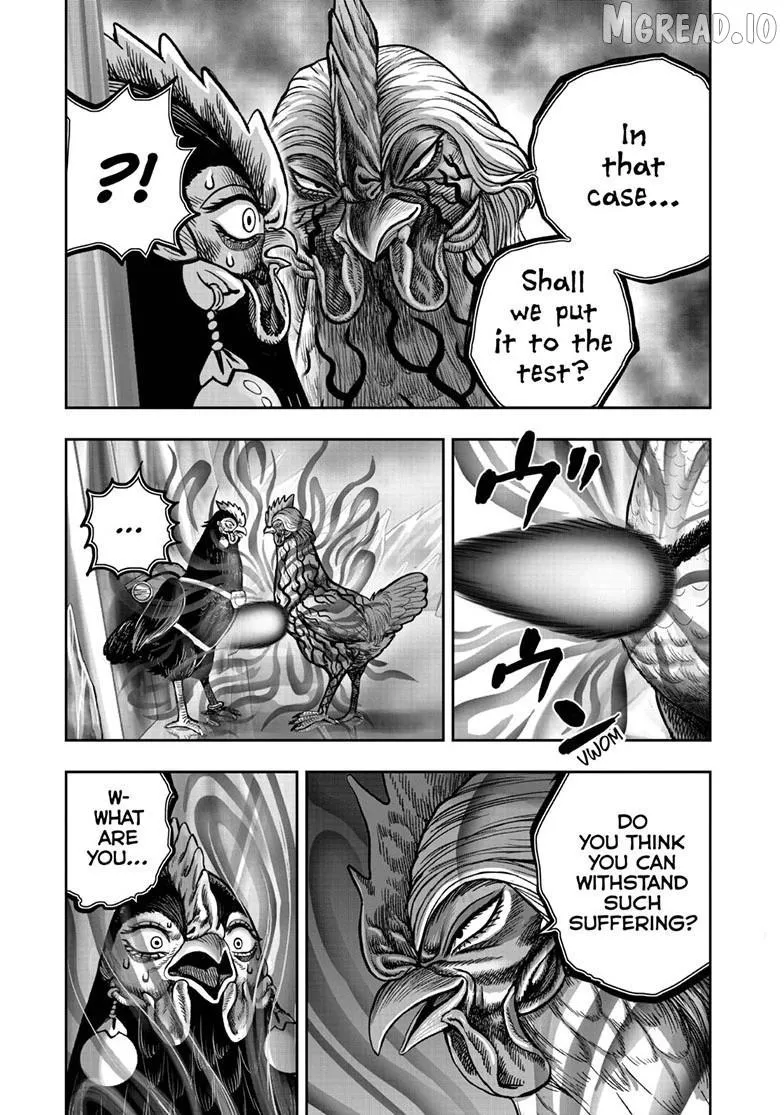 Read Rooster Fighter chapter 59 image 14 on Lezhin