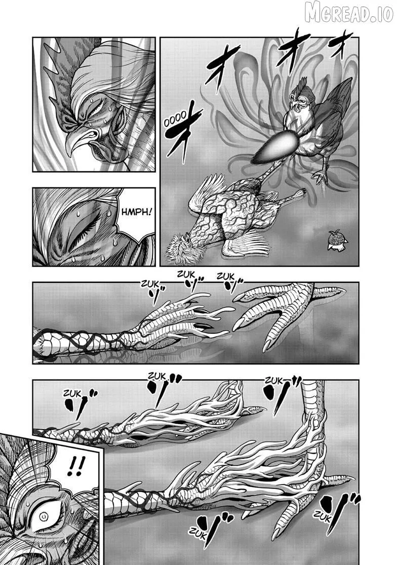 Read Rooster Fighter chapter 59 image 4 on Lezhin