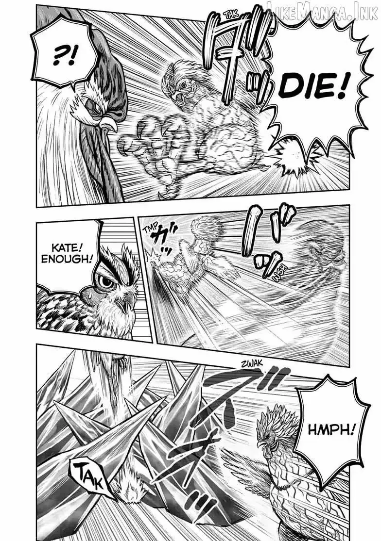 Read Rooster Fighter chapter 60.99 image 29 on Lezhin