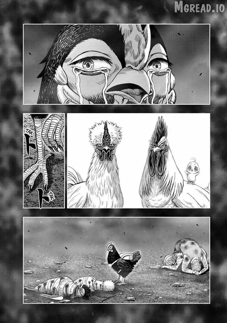 Read Rooster Fighter chapter 60 image 21 on Lezhin