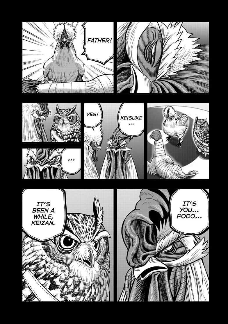 Read Rooster Fighter chapter 61.1 image 28 on Lezhin