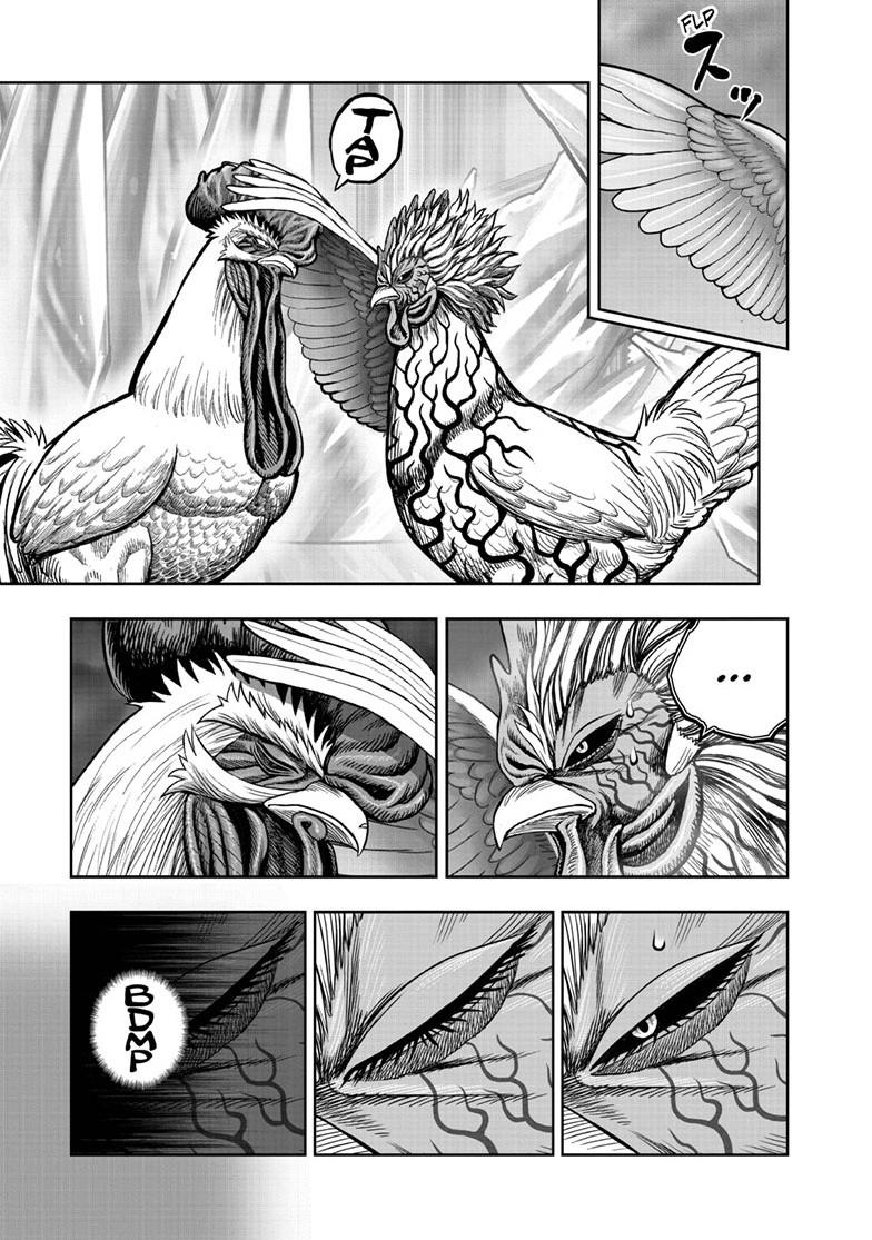 Read Rooster Fighter chapter 61.1 image 35 on Lezhin