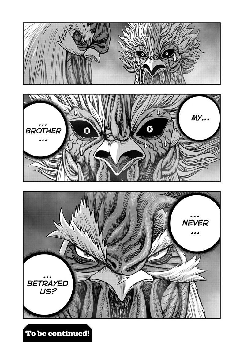 Read Rooster Fighter chapter 61.1 image 48 on Lezhin