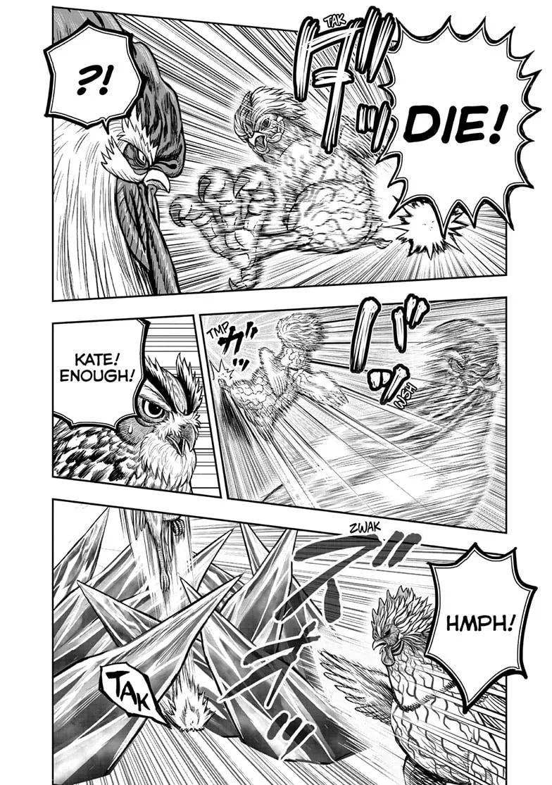 Read Rooster Fighter chapter 61.2 image 10 on Lezhin