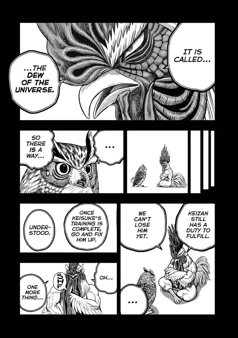 Read Rooster Fighter chapter 61.2 image 3 on Lezhin