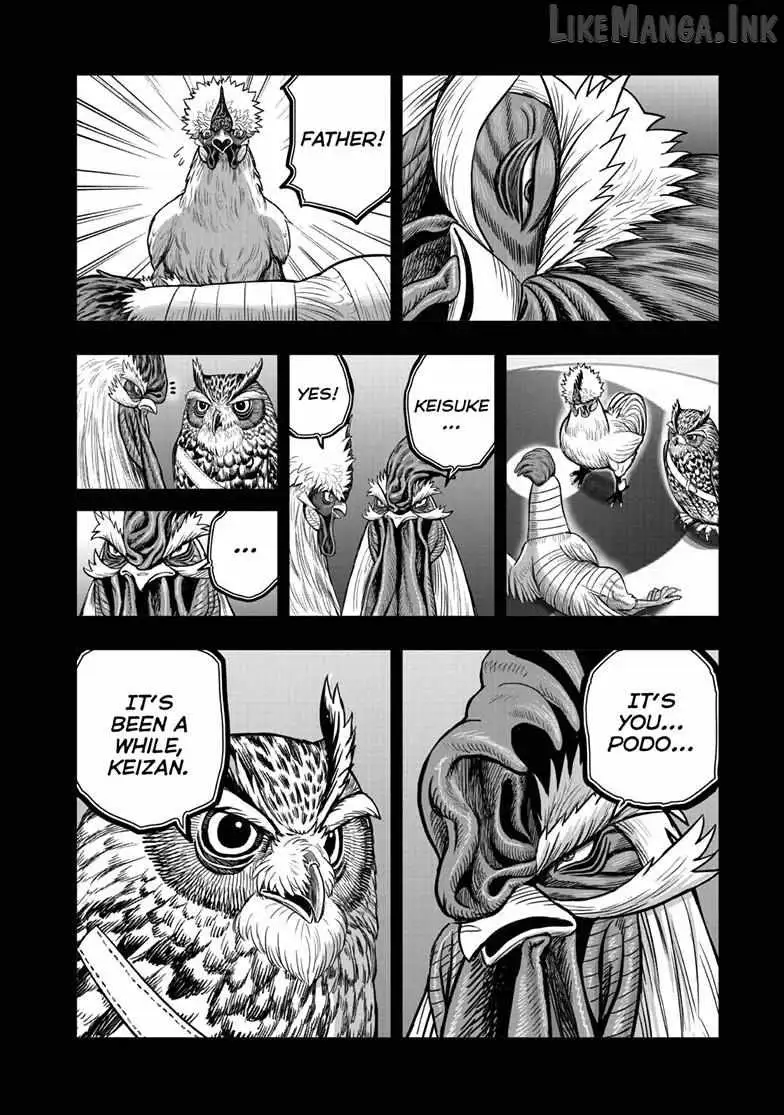 Read Rooster Fighter chapter 61 image 27 on Lezhin