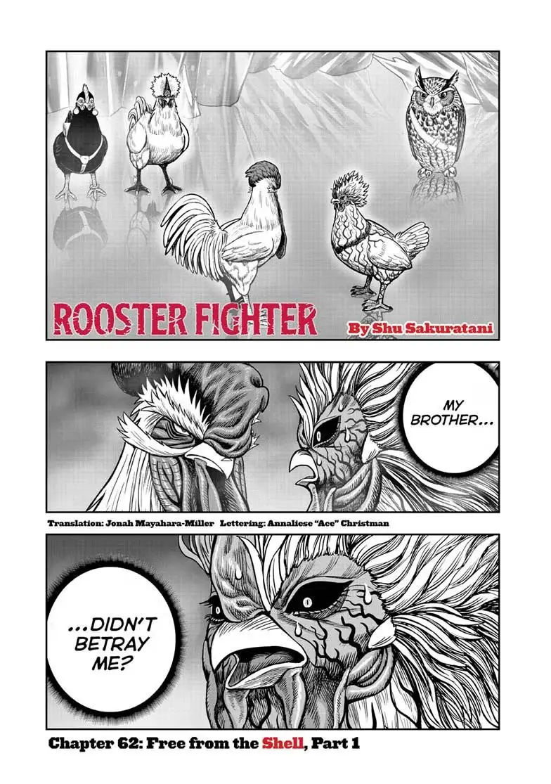 Read Rooster Fighter chapter 62.1 image 1 on Lezhin