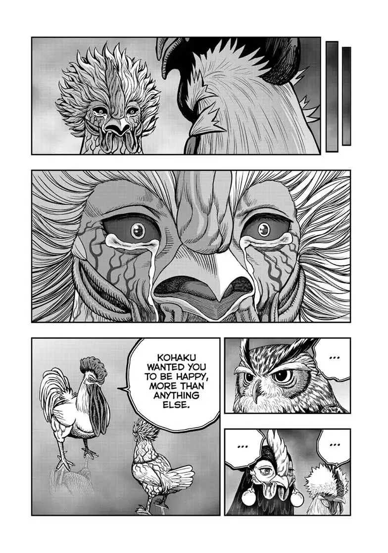 Read Rooster Fighter chapter 62.1 image 21 on Lezhin