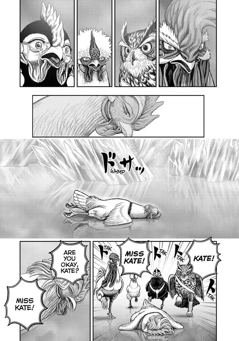 Read Rooster Fighter chapter 62.2 image 13 on Lezhin