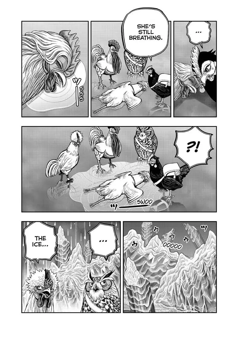 Read Rooster Fighter chapter 62.2 image 14 on Lezhin