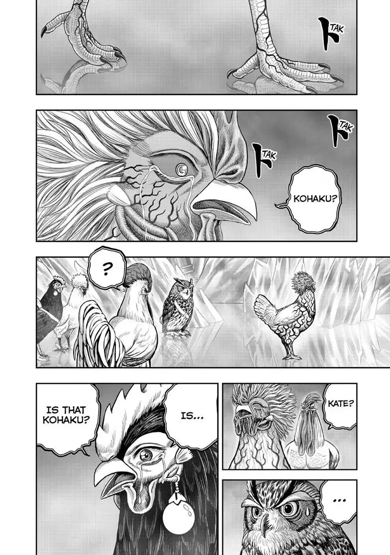 Read Rooster Fighter chapter 62.2 image 8 on Lezhin
