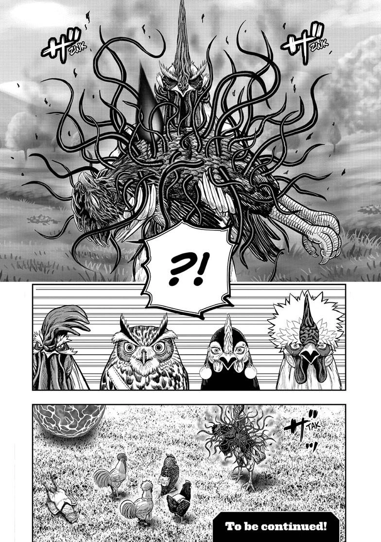Read Rooster Fighter chapter 63.1 image 13 on Lezhin