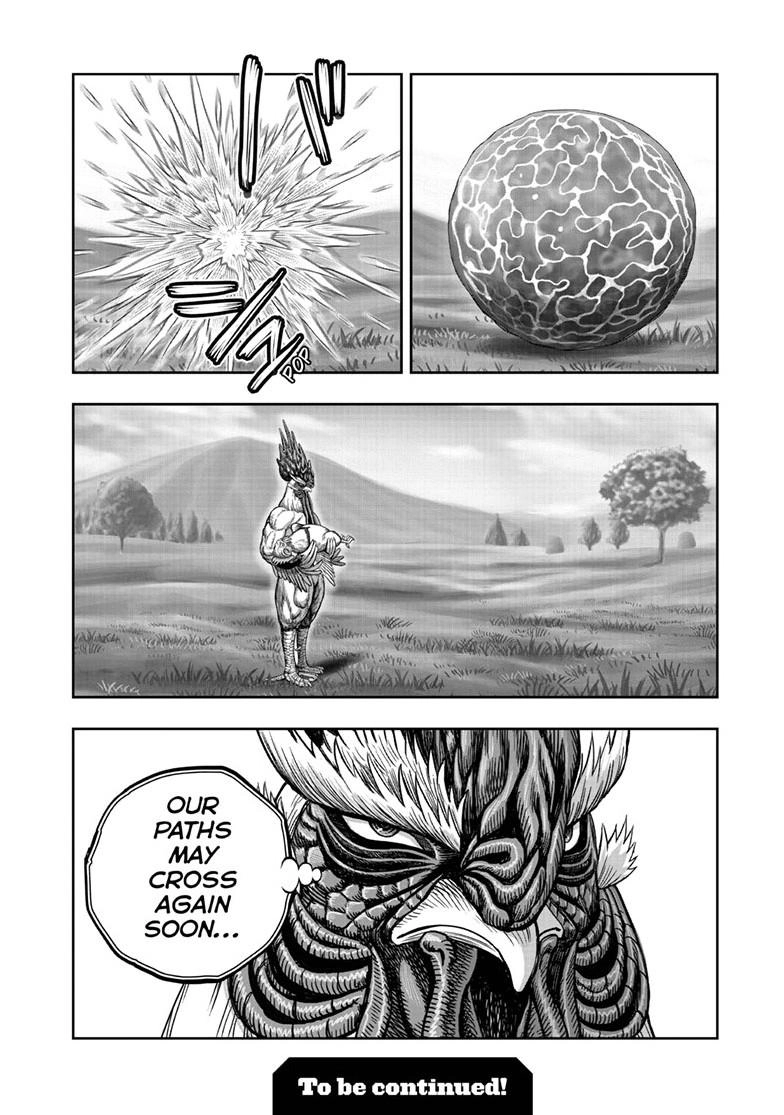 Read Rooster Fighter chapter 63.2 image 11 on Lezhin