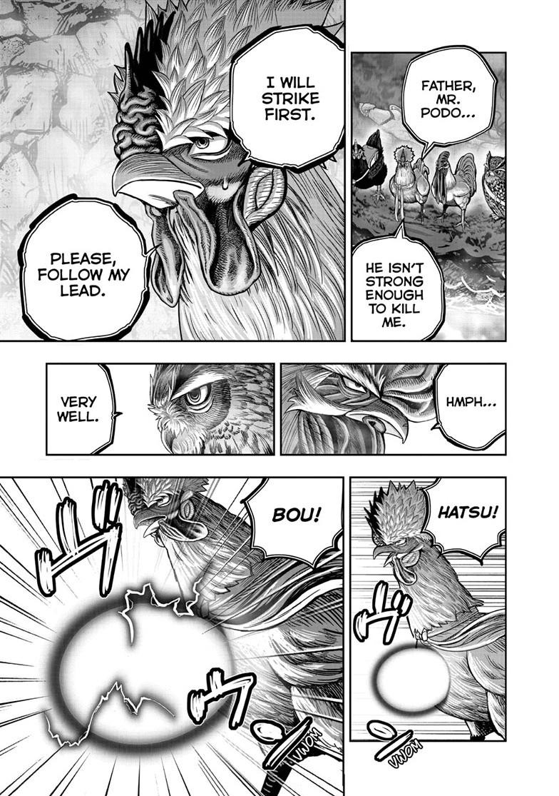 Read Rooster Fighter chapter 64.1 image 13 on Lezhin