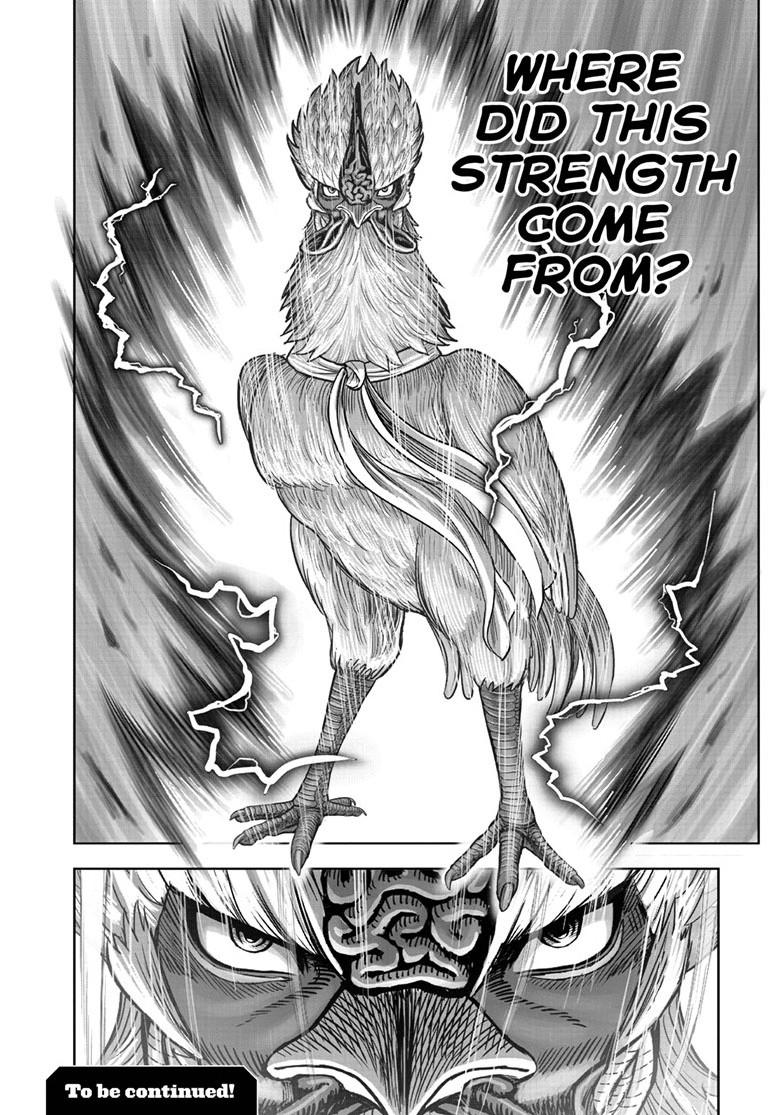 Read Rooster Fighter chapter 64.1 image 18 on Lezhin