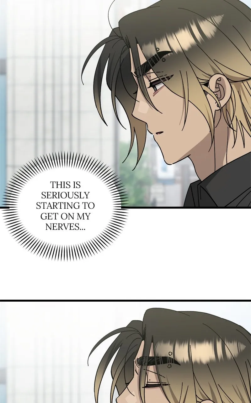Read Rules for Dating Trash chapter 27 image 71 on Lezhin