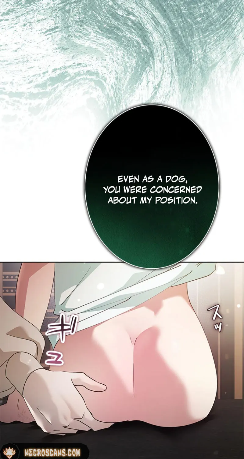Read Run Away, From Me chapter 24 image 76 on Lezhin