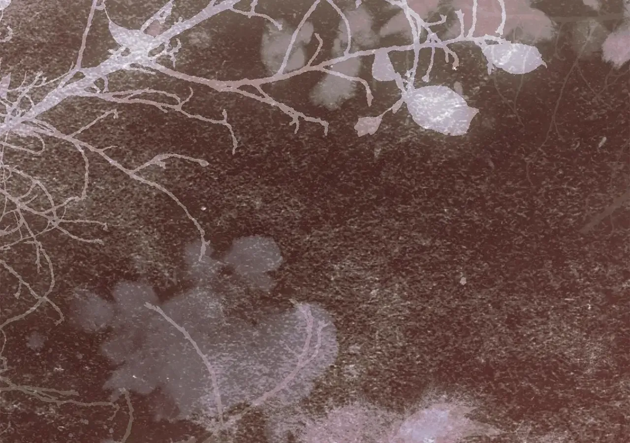 Read Run Away, From Me chapter 58 image 101 on Lezhin