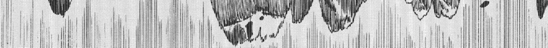 Read Rust-Eater Bisco chapter 9 image 55 on Lezhin