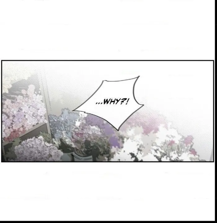 Read S Flower chapter 33 image 52 on Lezhin