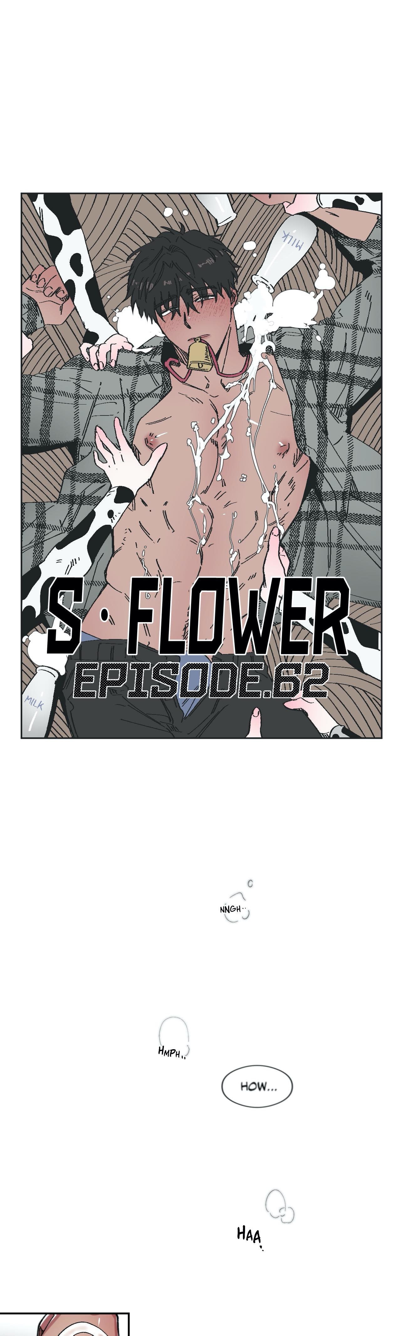 Read S Flower chapter 62 image 3 on Lezhin