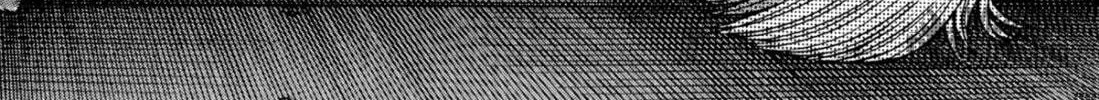 Read S to M chapter 132 image 19 on Lezhin