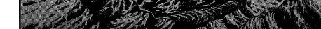 Read S to M chapter 145 image 15 on Lezhin