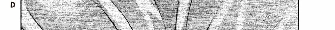 Read S to M chapter 147 image 43 on Lezhin