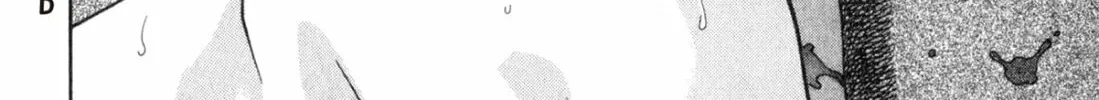 Read S to M chapter 162 image 43 on Lezhin