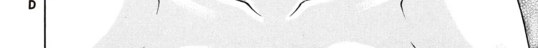 Read S to M chapter 196 image 43 on Lezhin