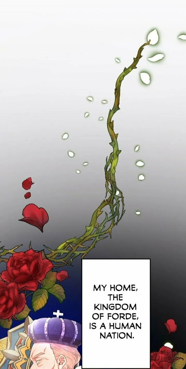 Sacrificed to Be the Beast King's Bride Chapter 1 page 19 - 